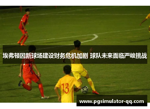 埃弗顿因新球场建设财务危机加剧 球队未来面临严峻挑战 埃弗顿因新球场建设财务危机加剧 球队未来面临严峻挑战