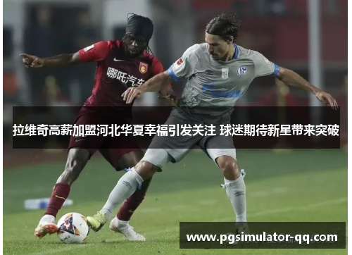 拉维奇高薪加盟河北华夏幸福引发关注 球迷期待新星带来突破 拉维奇高薪加盟河北华夏幸福引发关注 球迷期待新星带来突破